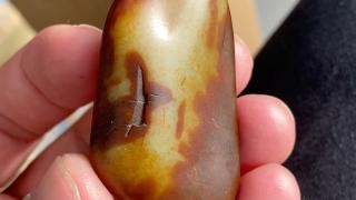 和田玉籽料·顶级沙枣青